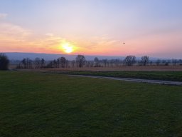 fliegen0903 18